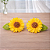 Clips Flores - Imagem 4