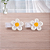 Clips Flores - Imagem 7