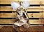 Anjo Luxo Ponteira Bronze Decorado Premium Grande 45cm - Riomaster - Imagem 2