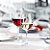 Conjunto Taça Elytium Graphite Vinho 580ml Vidro 6 Unidades - Vicrila - Imagem 4