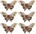Kit Borboleta Decor Luxo Plumas e Pedras Brilho Bronze 6 Pç - Imagem 1