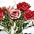 Jogo Buquê Mini Rosas Vermelho e Rosê 5 Flores Folhagens Realistas 2 Unidades 30cm - Imagem 5