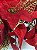 Kit 3 Buquê Natal Bico de Papagaio Vermelho 5 Flores 47cm - Imagem 3