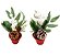 Kit 2 Vasos Natal Decorados Folhagens, Berries e Pinhas Nevado 20cm - Magizi - Imagem 1
