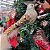 Jogo 4 Passarinhos Natal Plumas e Lantejoulas Champanhe Glitter 17cm Decorativo - Magizi - Imagem 3