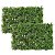 Kit 2 Placas Painel Grama Buchinho Sintético 60x40cm Jardim Vertical Folhagens Verde - Viva Flor - Imagem 1