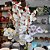 Kit 2 Galhos Orquídea Branca 9 Flores Realistas Toque Real Premium Haste 95cm - Vivaflor Decor - Imagem 6