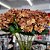 Flor Hortência Envelhecida e Folhagens Artificial Haste 60cm - Vivaflor Decor - Imagem 2