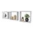 Conjunto 3 Nichos Decorativos MDF Branco Premium - DiCarlo - Imagem 1