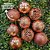 Jogo 27 Bolas Natal Mista Textura Arabescos Rena Rosê 8cm - Master Christmas - Imagem 2
