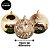 Conjunto 24 Bolas Natal Textura Rena e Folhagens Champanhe Luxo 8cm e 10cm - Master Christmas - Imagem 4