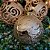 Conjunto 24 Bolas Natal Textura Rena e Folhagens Champanhe Luxo 8cm e 10cm - Master Christmas - Imagem 3