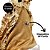 Casal Bonecos Coral Natalino Decorativo Musical à Corda Dourado Luxo 42cm - Noel Decor - Imagem 3