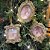 Jogo 3 Porta Retrato Decorativo Glitter Dourado Para Árvore Natal 10cm - Magizi - Imagem 2