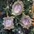 Jogo 3 Porta Retrato Decorativo Glitter Champanhe Gold Para Árvore Natal 10cm - Magizi - Imagem 2