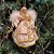 Anjo Decorativo Natal Pendente Luxo Rosê e Dourado 17cm - Noel Decor - Imagem 2