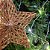 Kit 2 Estrelas Decorativas Natal Glitter Vazado Rosê Gold 18cm - Magizi - Imagem 6