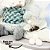 Jogo Papai Noel e Boneco de Neve Pelúcia Decorativo Base Madeira Saco Presentes Azul e Cinza 23cm - Imagem 9