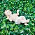 Menino Jesus Resina Premium Luxo 13cm - Noel Dercor - Imagem 7