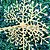 Jogo 4 Flocos de Neve Decorativo 3D Glitter Brilho Dourado 25x25cm - Nataluz - Imagem 8
