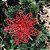 Jogo 4 Flores Natal Bico de Papagaio Vazado Glitter Vermelho 12cm - Bela Flor - Imagem 2