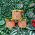 Jogo 3 Tambores Glitter Rosê Gold Iluminado LED Color Enfeite Natal - Bela Flor - Imagem 6