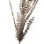 Galho Decorativo Natal Alecrim Glitter Champanhe Luxo 57cm - Bela Flor - Imagem 4