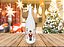 Garrafa Vidro Decor Natal Quebra Nozes 1 Litro Tampa Pressão - Yangzi - Imagem 3
