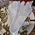 Jogo 6 Guardanapos Tecido Adamasc Branco Floral Prime 45x45cm Borda Floral - Tuut - Imagem 2