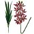 Haste Orquídea 3D Cymbidium Vinho Bordô e Folhagem 58cm - MC Flores - Imagem 1