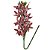 Haste Orquídea 3D Cymbidium Vinho Bordô e Folhagem 58cm - MC Flores - Imagem 10