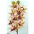 Haste Orquídea 3D Cymbidium Silicone Premium Rosê 30cm 10 Flores - MC Flores - Imagem 2