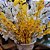 Jogo 3 Hastes Flor Orquídea Amarela Chuva de Ouro Artificial 50cm - MC Flores - Imagem 2