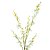 Haste Flor Orquídea Chuva de Ouro Artificial Branca 50cm - MC Flores - Imagem 4