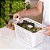 Pote Hermético Slim com Cesto de Drenagem e Trava Para Legumes e Verduras 1700ml - Paramount - Imagem 3