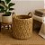 Jogo 3 Cestos em Seagrass Fibra Natural Trançado com Alças Caubi Grande 25cm a 37cm - Jolitex - Imagem 9