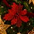Kit 3 Flores Bico de Papagaio Natal Pick Recort Glitter Vermelho 25cm - Magizi - Imagem 2