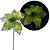 Flor Bico de Papagaio Verde Mescla Pick Natal Luxo 20cm - Magizi - Imagem 6