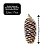 Jogo 6 Pinha Natural Pendente Natalina 8,5cm com Glitter Prata e Cordão para Pendurar - Imagem 5