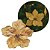 Kit 3 Flores Magnólia Natalina Veludo Dourado Pick com Glitter Luxo 50cm - Imagem 4