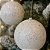 Jogo 2 Bolas de Natal Brancas Glitter e Lantejoulas 12cm Luxo - Imagem 2