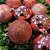 Conjunto 6 Bolas de Natal Rosê Prime Texturas Mistas 6cm Glitter, Brilho e Fosca - Imagem 2
