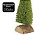 Jogo 2 Mini Pinheiro de Mesa Base Tronco Rústico 18cm e 24cm Modelo Premium Realista - Imagem 4