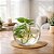 Vaso Tipo Aquário De Vidro Vaso Redondo 2,2 Litros Decorativo para Arranjos e Terrários - Imagem 1