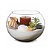 Jogo 2 Vasos Tipo Aquário de Vidro Redondo Decoração e Terrários 4,5 Litros - Imagem 7