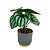 Arranjo Decorativo Artificial Folhagens com Vaso Cinza e Dourado 16cm Realista - Imagem 1