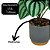 Arranjo Decorativo Artificial Folhagens com Vaso Cinza e Dourado 16cm Realista - Imagem 3
