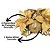 Kit 4 Porta Velas Castiçal Natalino Bico de Papagaio Dourado Decorado 10cm - Magizi - Imagem 5