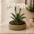 Vaso Baixo Cachepot Redondo Rústico Design Palhinha Treliça Rattan Sintético Prime 23cm - Mundial Casa - Imagem 4