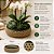Vaso Baixo Cachepot Redondo Rústico Design Palhinha Treliça Rattan Sintético Prime 23cm - Mundial Casa - Imagem 2